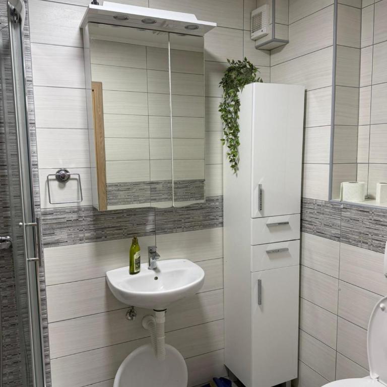 Apartman Nicolas - Apartman sa 1 Spavaćom Sobom - 4