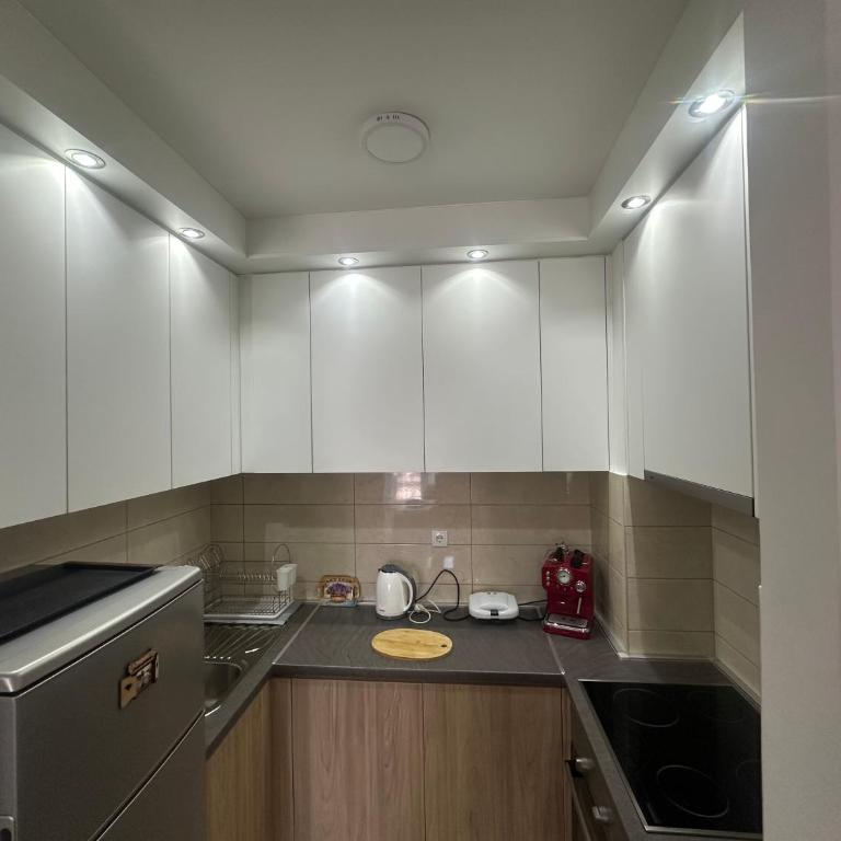 Apartman Nicolas - Apartman sa 1 Spavaćom Sobom - 14