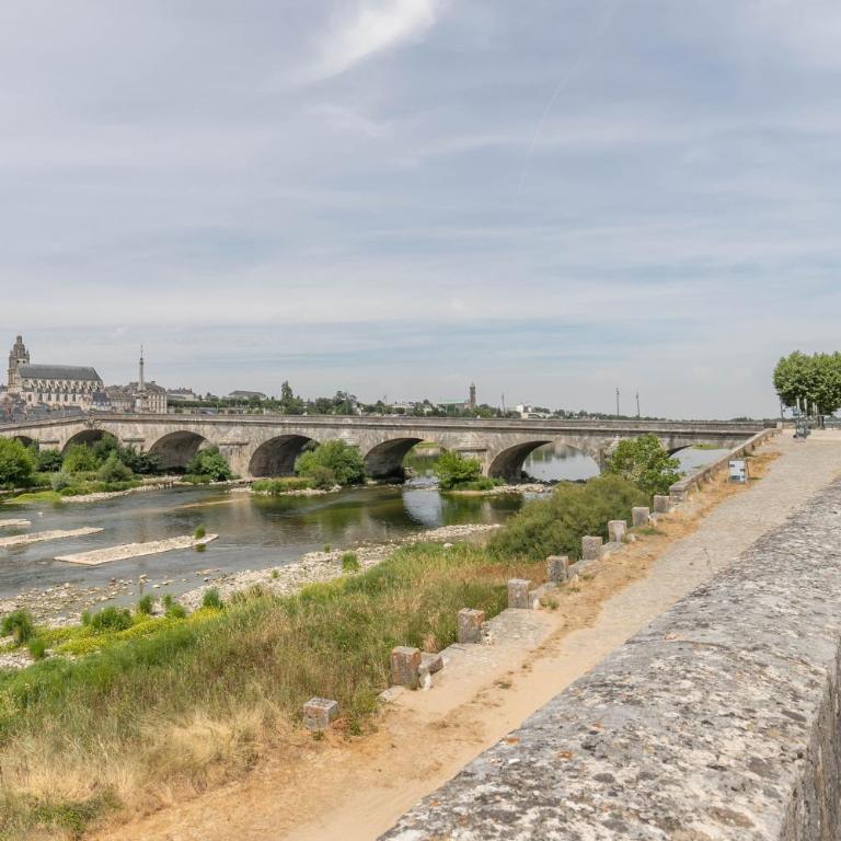 8 réunis sous le même toit - cœur de Blois - Appartement 3 Chambres - 31