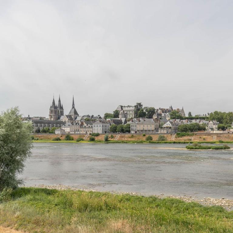 8 réunis sous le même toit - cœur de Blois - Appartement 3 Chambres - 32