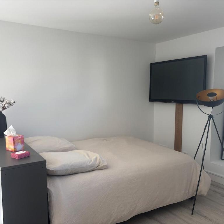 Independent studio with terrace and garden - Appartement 1 Chambre - 3