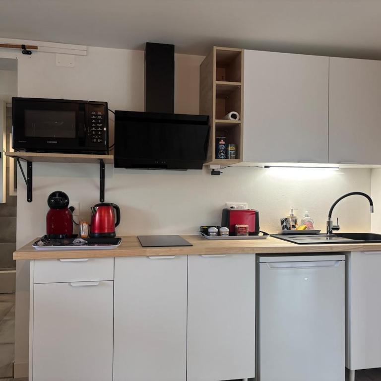 Independent studio with terrace and garden - Appartement 1 Chambre - 5