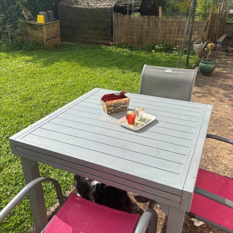 Independent studio with terrace and garden - Appartement 1 Chambre - 10