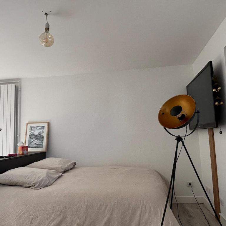Independent studio with terrace and garden - Appartement 1 Chambre - 13