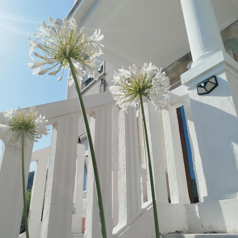 Medusa Apartaments - Appartamento con 2 Camere da Letto - 27