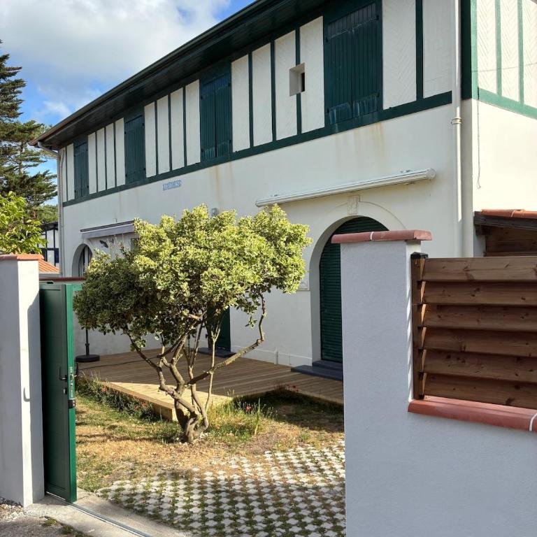 Renovated duplex with garden - Beach and port within walking distance - Appartement 2 Chambres - 6