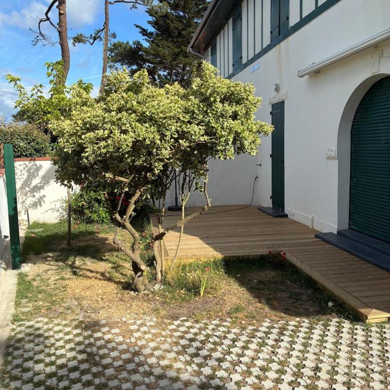 Renovated duplex with garden - Beach and port within walking distance - Appartement 2 Chambres - 14