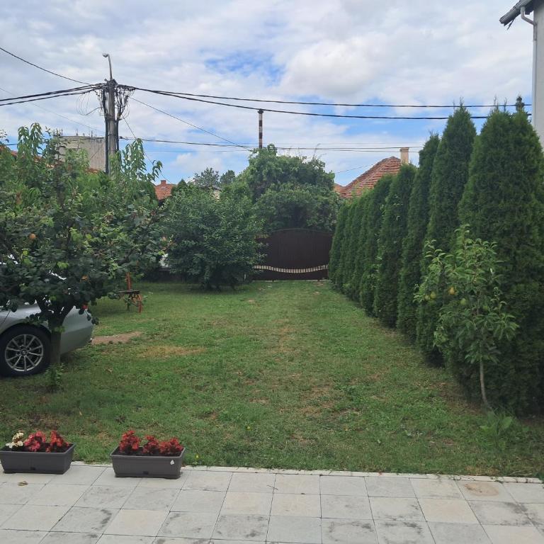 Vila Milojević - Apartment mit 2 Schlafzimmern - 7