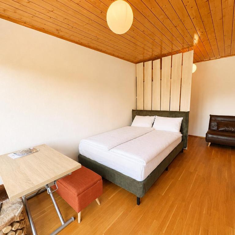 Calm studio with balcony in Crans-Montana - Studio avec Balcon - 13