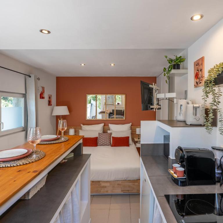 Studio Le Clair Logis, Centre ville à pied, Lit Queen size, Climatisation, extérieur - Apartamento de 1 dormitorio - 20