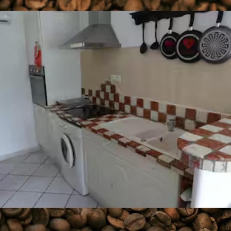 Les cigales - Apartment mit 1 Schlafzimmer und Gartenblick - 6