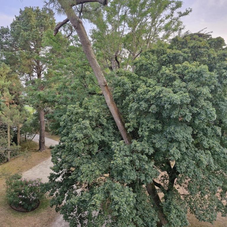 Appartement tout confort pour 4 à 250m de la plage - Appartement - 20