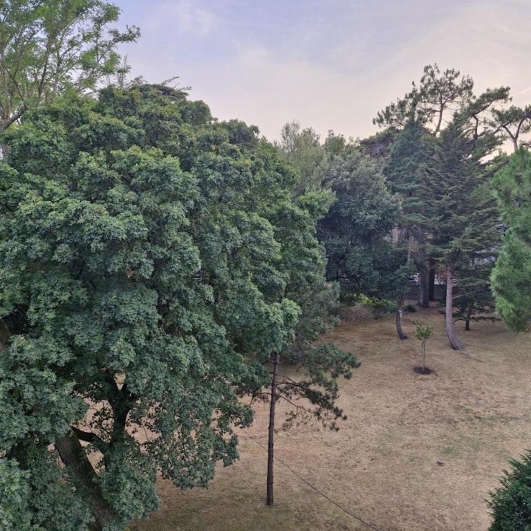 Appartement tout confort pour 4 à 250m de la plage - Appartement - 19