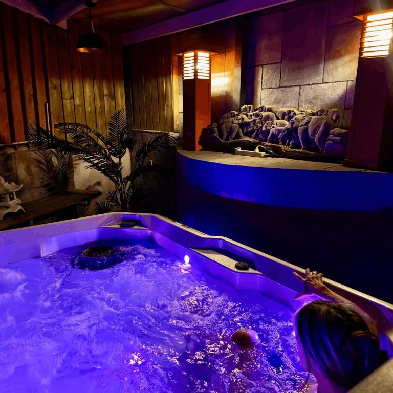 Les suites du Bouddha Bleu - Appartement 1 Chambre avec Baignoire Spa - 1