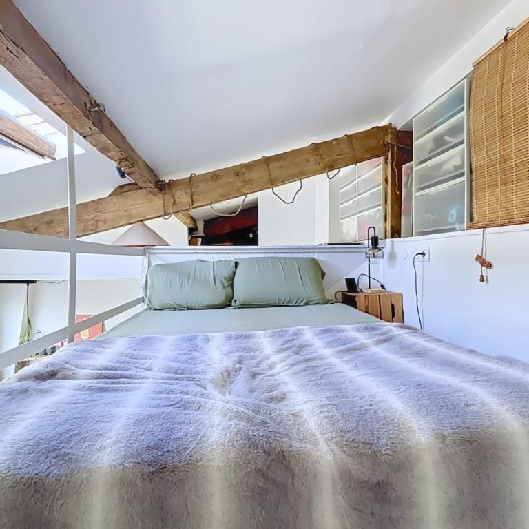 Cosy appartement proche Montparnasse - Appartement - 12
