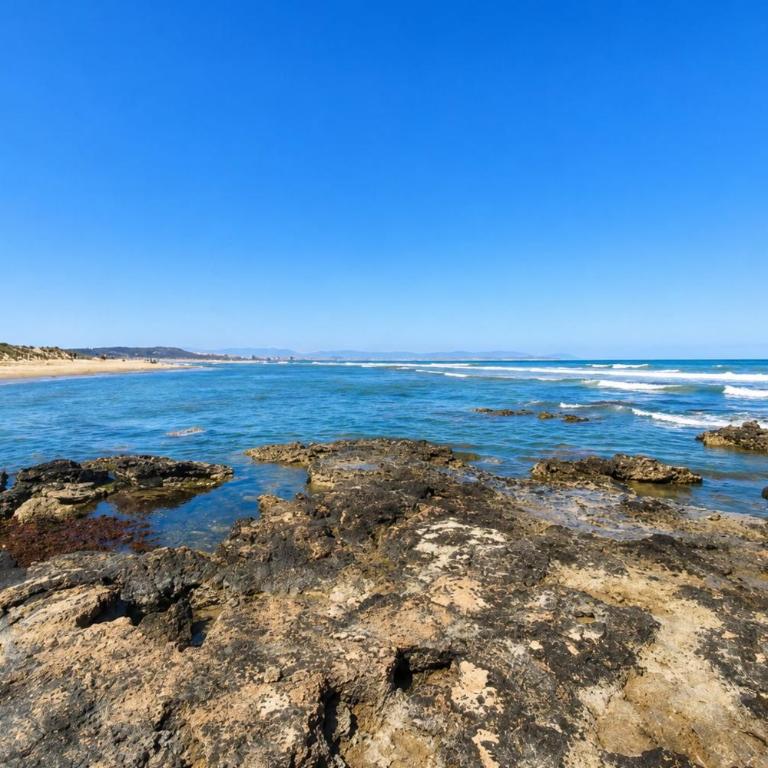 Sun and beach in La Mata - Apartamento - 10