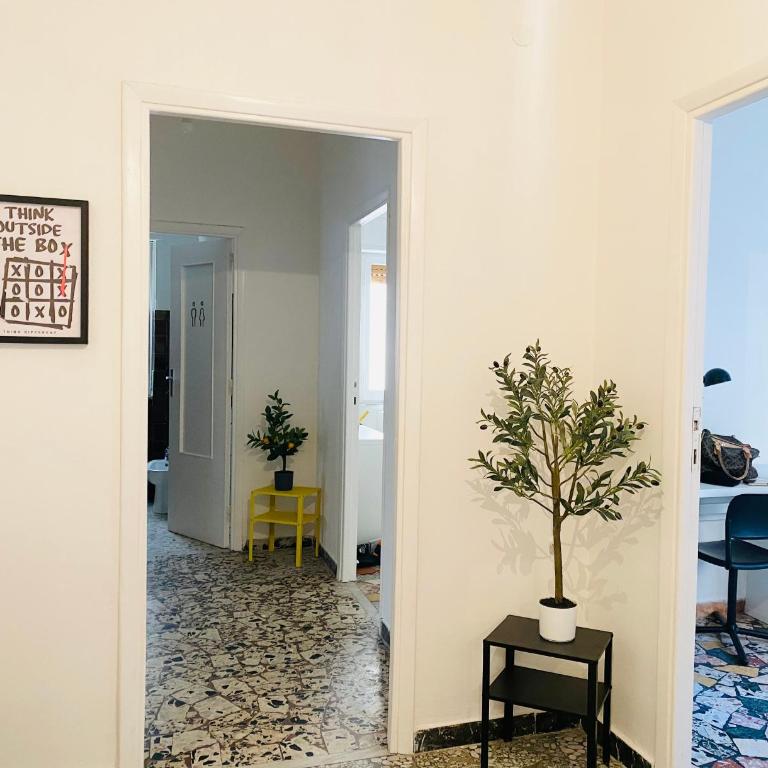 Ama Cagliari - Appartamento con 3 Camere da Letto - 4