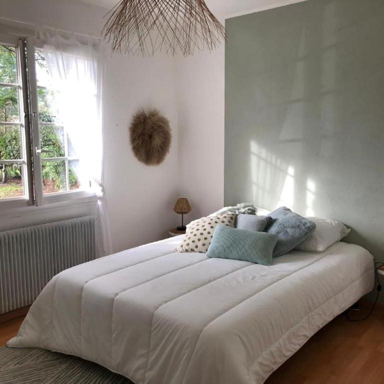 La Gaume Gujanaise - Bassin Arcachon - Piscine - Villa 3 Chambres - 15