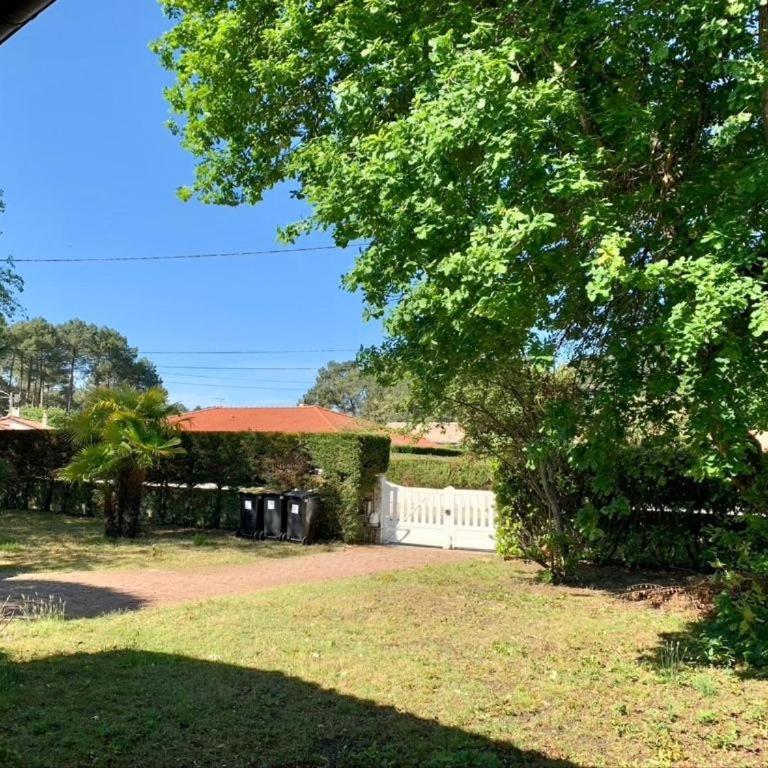 La Gaume Gujanaise - Bassin Arcachon - Piscine - Villa 3 Chambres - 18