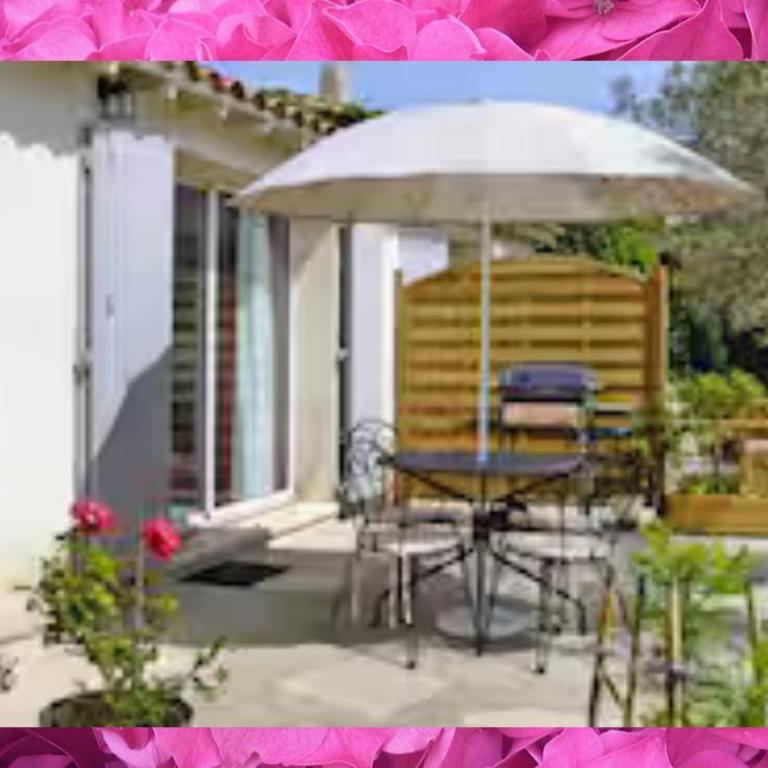 Les cigales - Apartment mit 1 Schlafzimmer und Gartenblick - 7