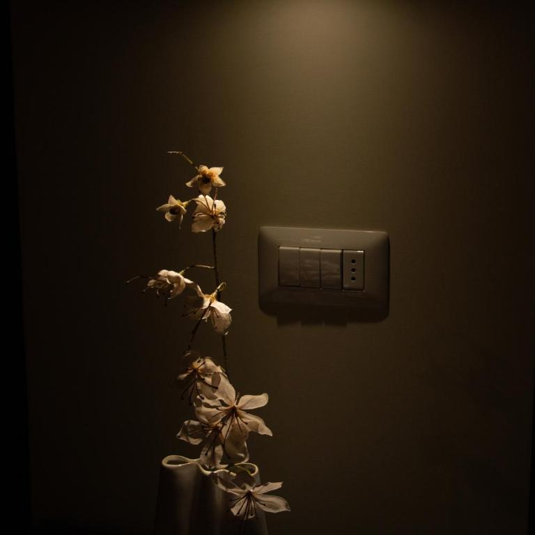 Flowers Apartments - Vatican Rooms - Camera Tripla Luxury - 13