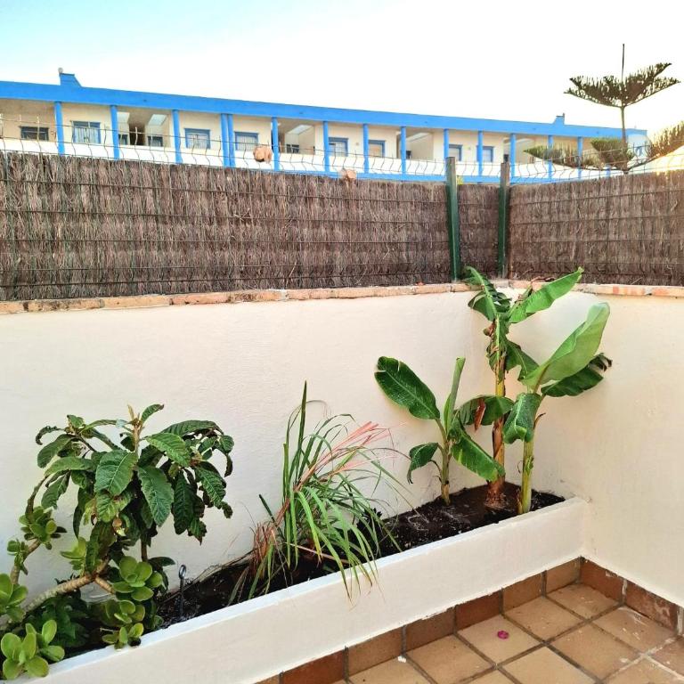 Elobey - Appartement 1 Chambre - 2