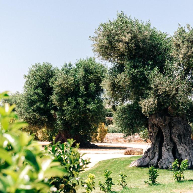 Appartamento Jungle - Tenuta Fascianello - Appartamento con 1 Camera da Letto - 20
