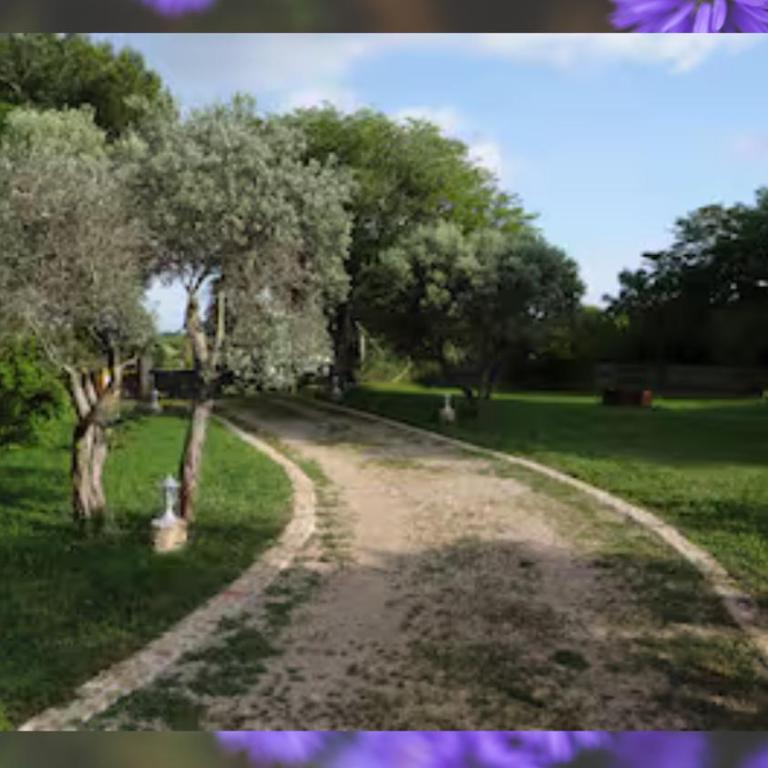 Les cigales - Apartment mit 1 Schlafzimmer und Gartenblick - 17