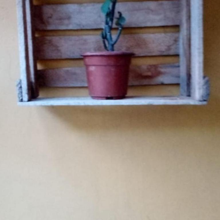 Sacred Valley Boutique Vegan Guesthouse - Double Room with Shared Bathroom - 8