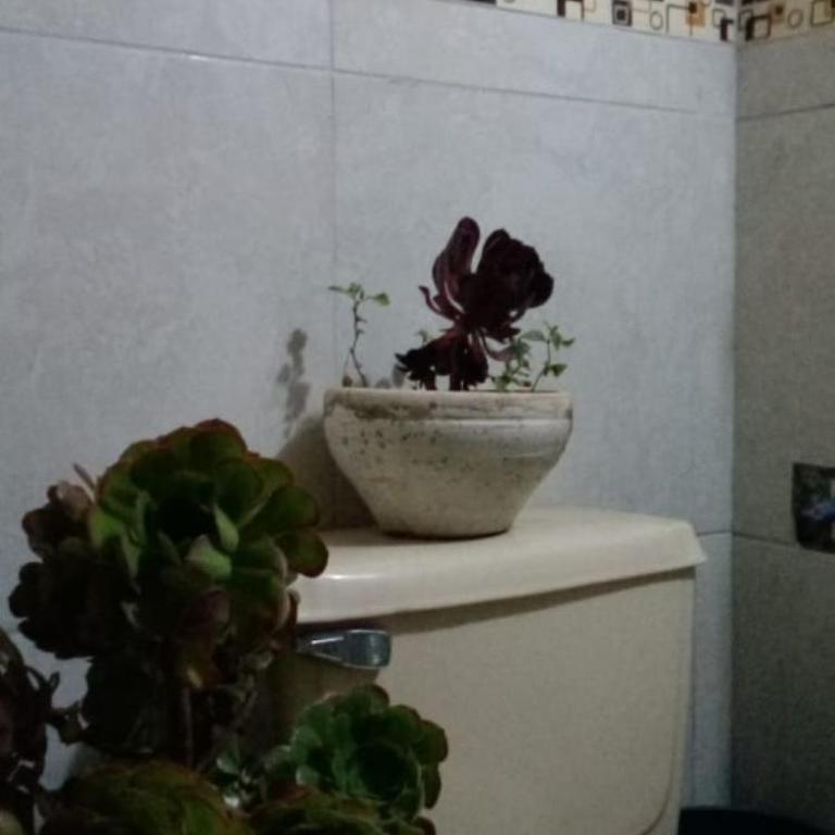 Sacred Valley Boutique Vegan Guesthouse - Double Room with Shared Bathroom - 7