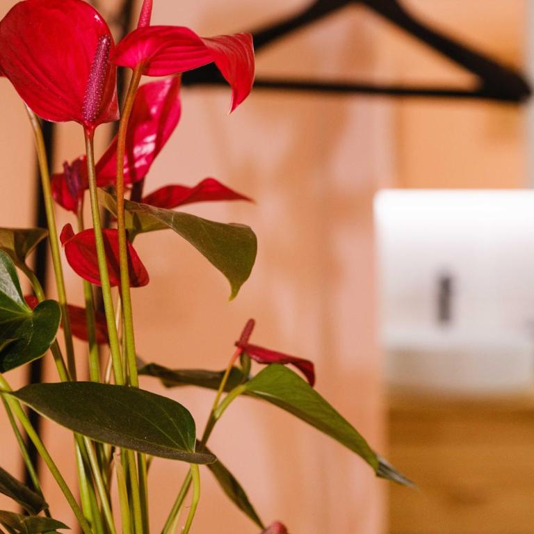 La Almenara - Appartamento con 1 Camera da Letto - 27
