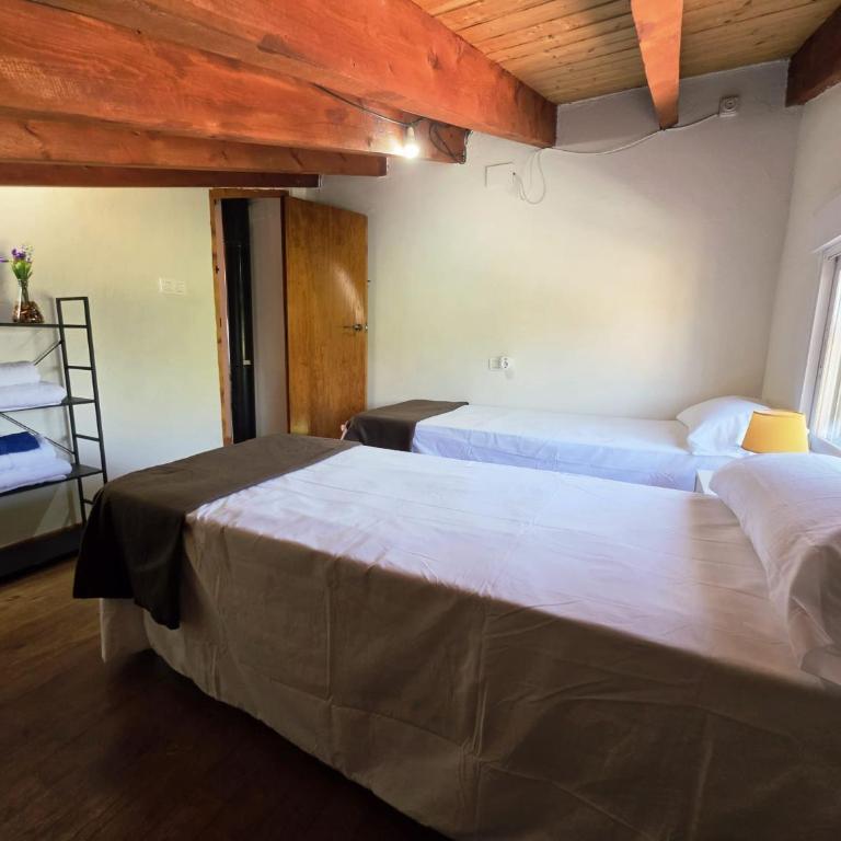 La Yedra de Piñol - Casa - 19