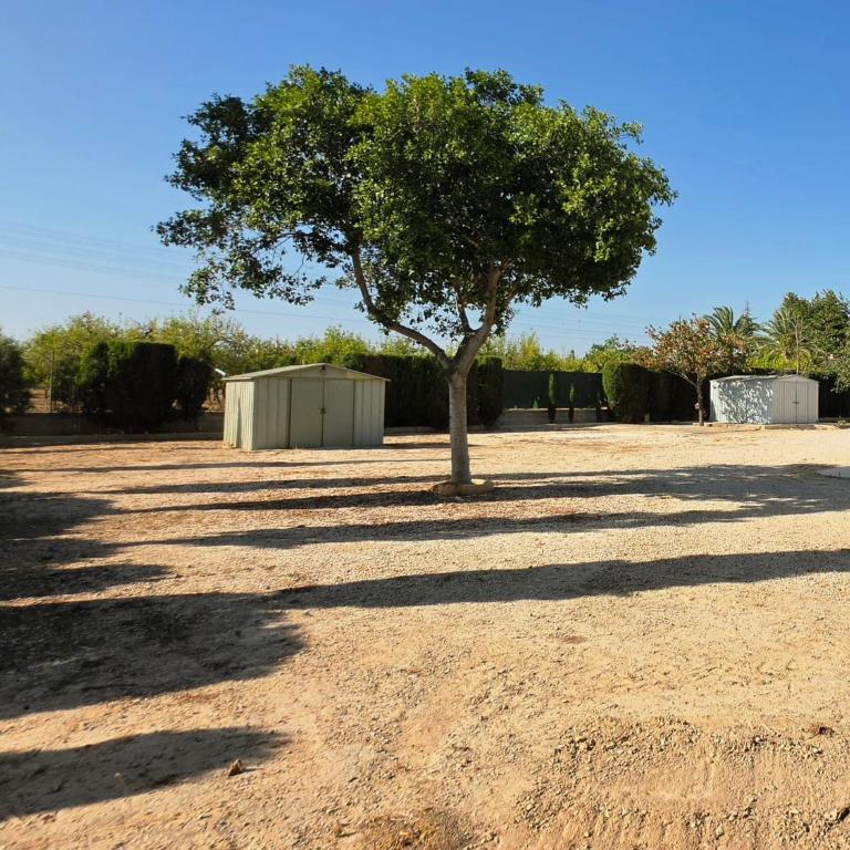 La Yedra de Piñol - Casa - 20
