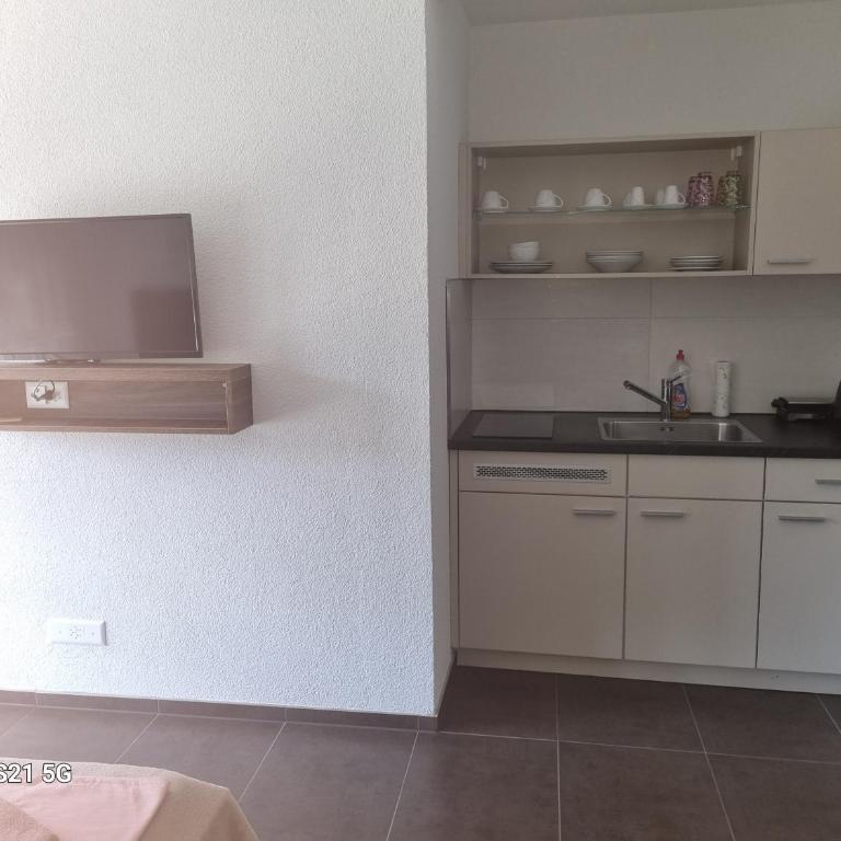 Apartmani Sutomore Tri Palme - Deluks Dvokrevetna Soba sa Bračnim Krevetom - 3