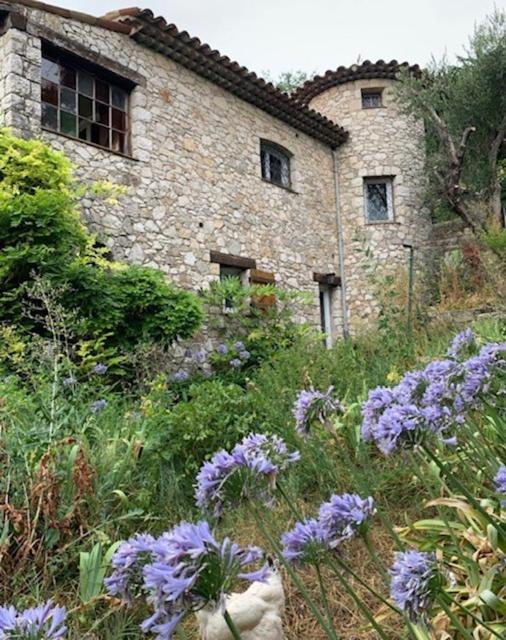 Haut de maison en pierre jardin et piscine vue mer - Maison 2 Chambres - 12