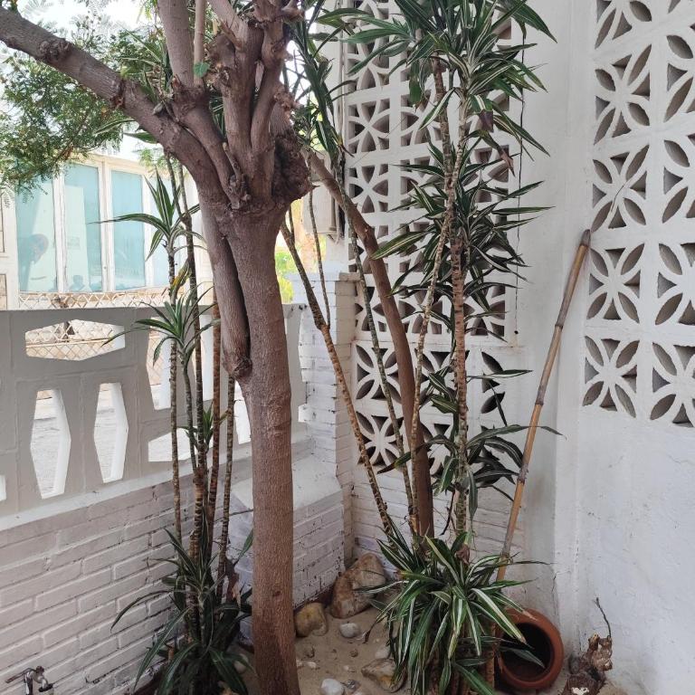 Casa del Mar - Casa - 30