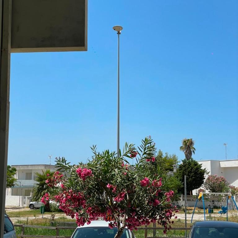Machiavelli Street Apartment - Appartamento con 2 Camere da Letto - 2