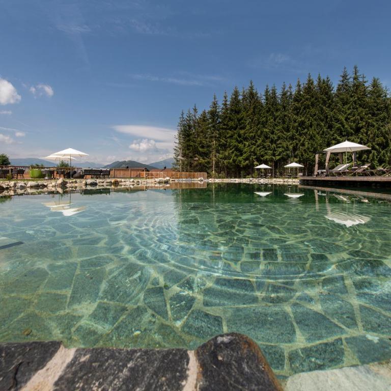 Lerchpeuntgut Almchalets - Superior Chalet - 23