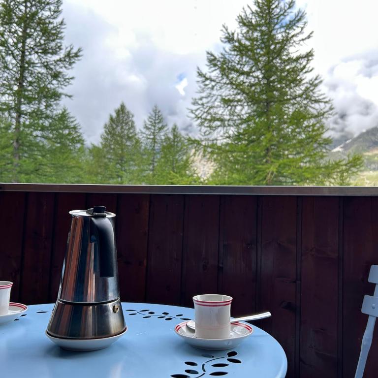 Cervinia Snow Dream Apartments - One-Bedroom Apartment with Balcony - Apartment n.622 - 18