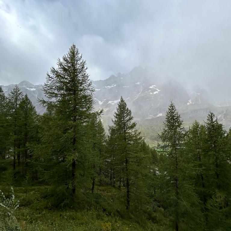 Cervinia Snow Dream Apartments - One-Bedroom Apartment with Balcony - Apartment n.622 - 9