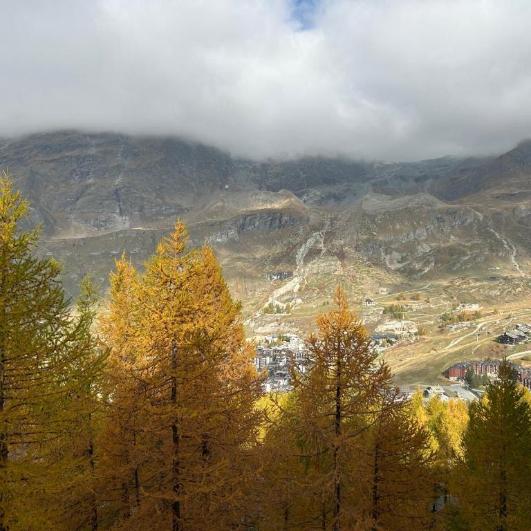 Cervinia Snow Dream Apartments - One-Bedroom Apartment with Balcony - Apartment n. 618 - 10
