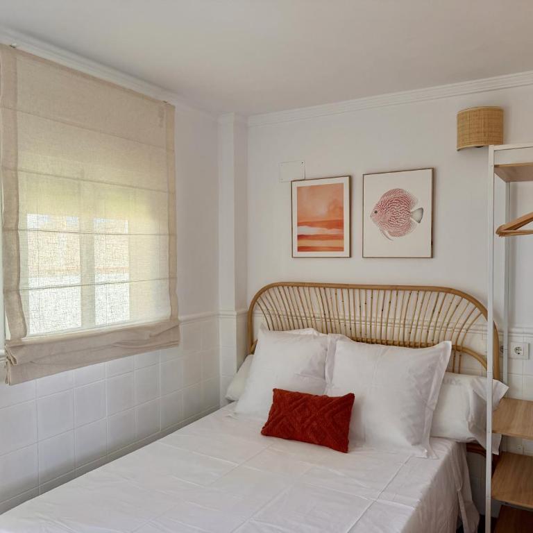 Apartamentos Compan Santos - Estudio - 3