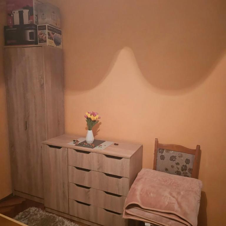 DM Apartman - Apartman sa 2 Spavaće Sobe - 5