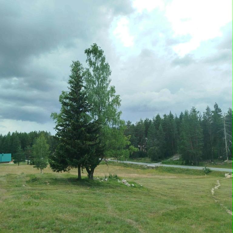 Durmitor Forest Retreat - Kuća sa 2 Spavaće Sobe - 4