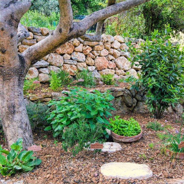 Villa La Couaste - Profitez de la vie en Provence - Maison 3 Chambres - 34