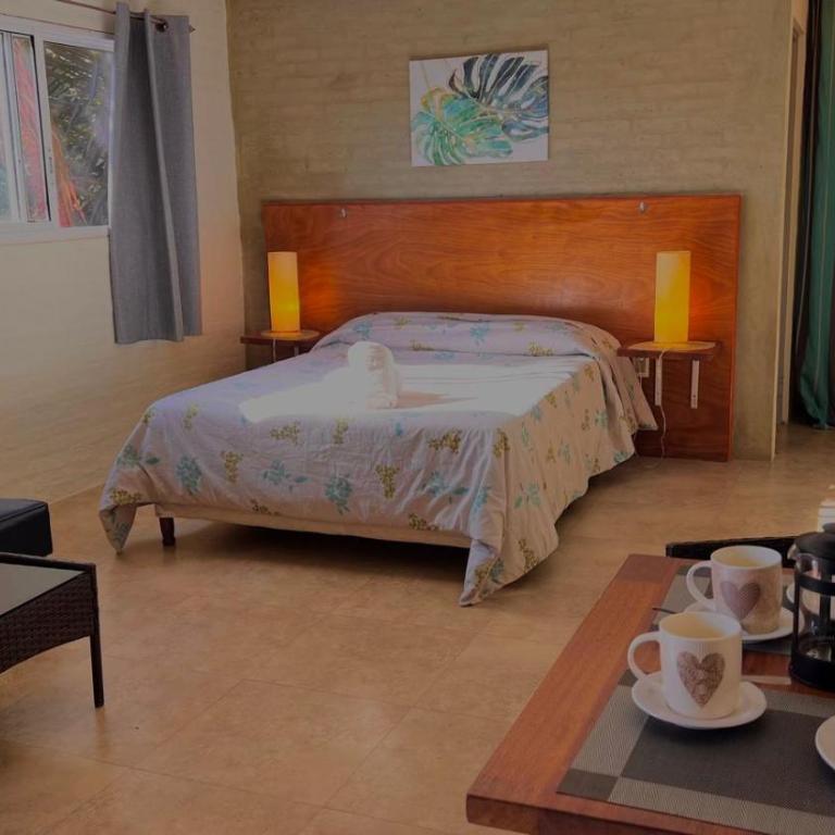La Serena Suites Apart hotel - Apartamento con vistas al jardín - 2