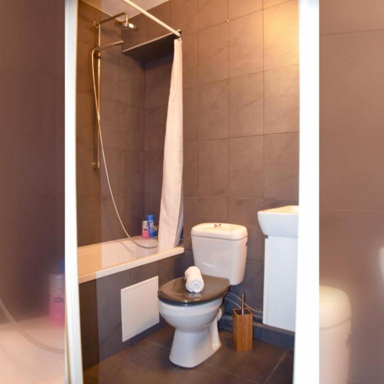 1 Bedroom Apartment in the Heart of the Marais area - Appartement 1 Chambre - 5