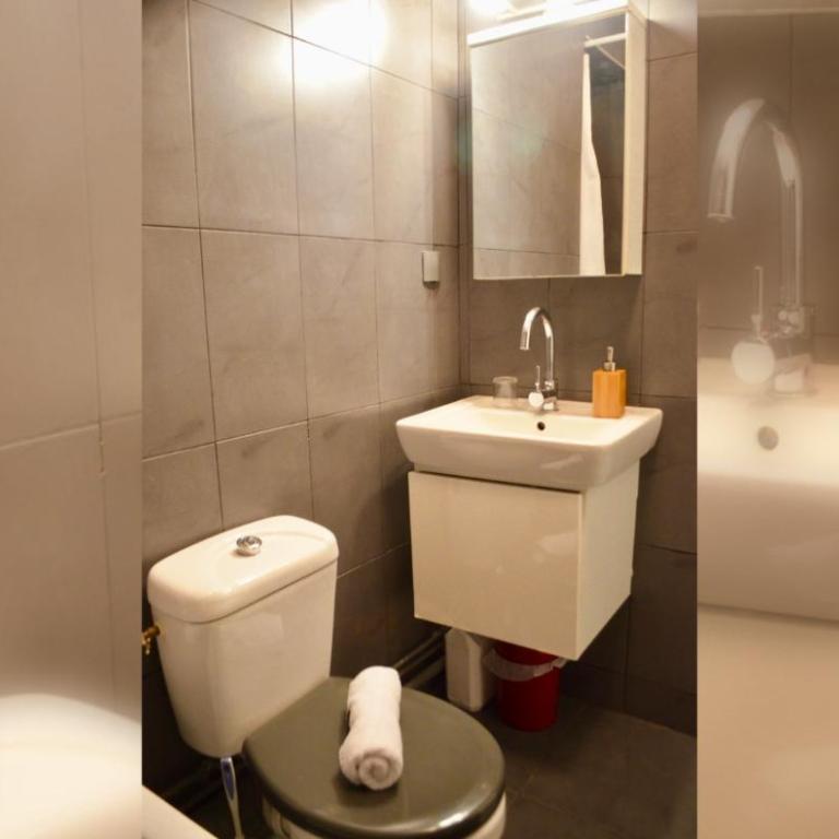 1 Bedroom Apartment in the Heart of the Marais area - Appartement 1 Chambre - 21