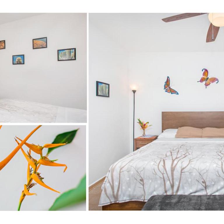Tito's Paradise - Apartamento de 1 dormitorio - 13