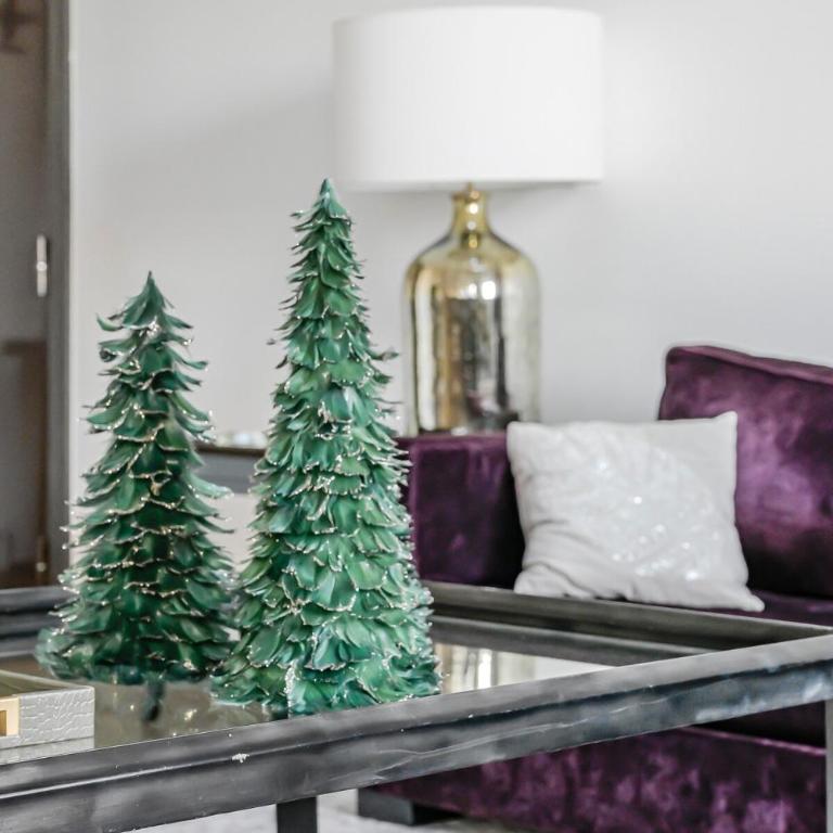 Large, Bright, Quiet with - Appartement 3 Chambres - 12